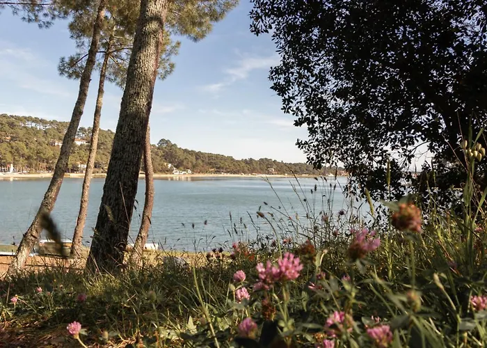 Residence Hoteliere Les Acanthes