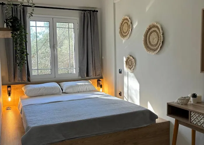 Olive Tree Apartments