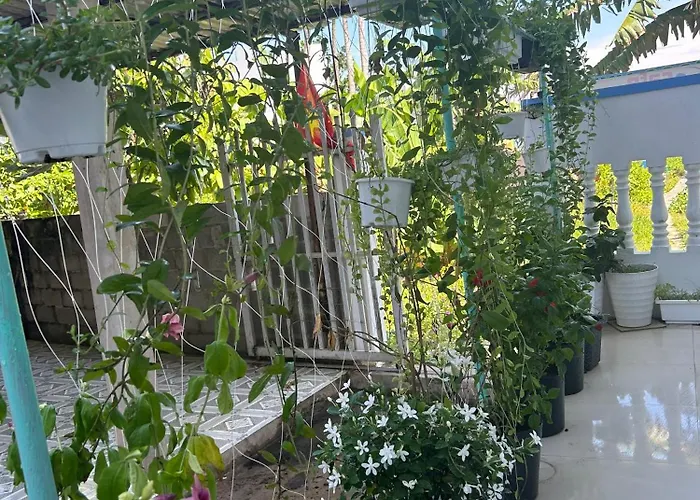I Hostel Muine - A Little White Homestay By The Sea