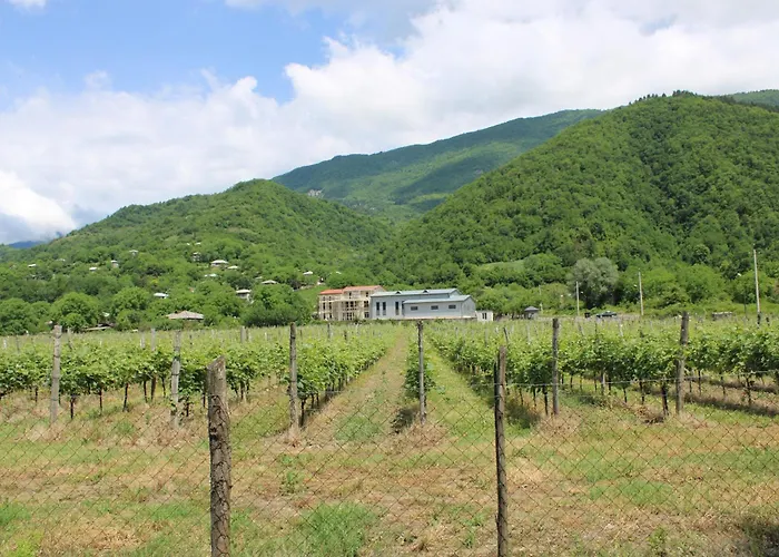 Gonadze Vineyards Hotel