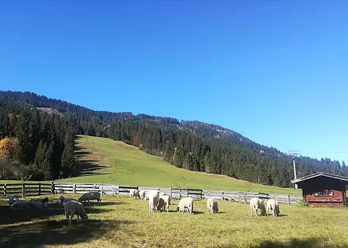 Walchauhof