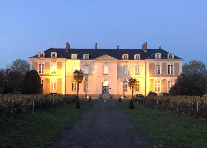 Hotel Particulier Chateau Des Marais Proximite Et Vue Sur Le Lac De Grand Lieu