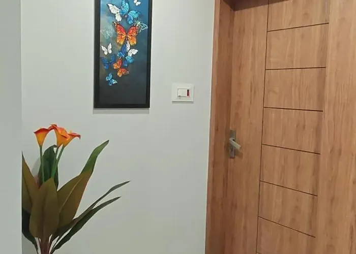 Sai Paying Guest House