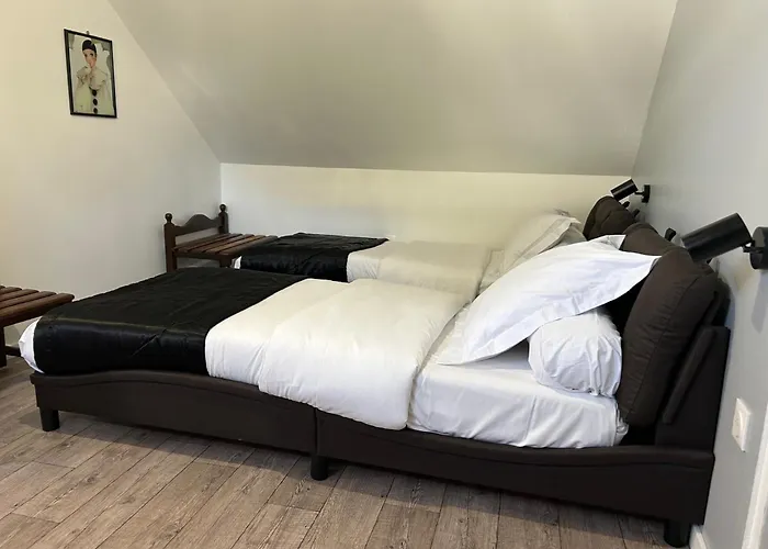 Hotel Saint - Charles