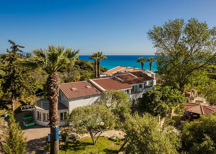 Costa Avithos