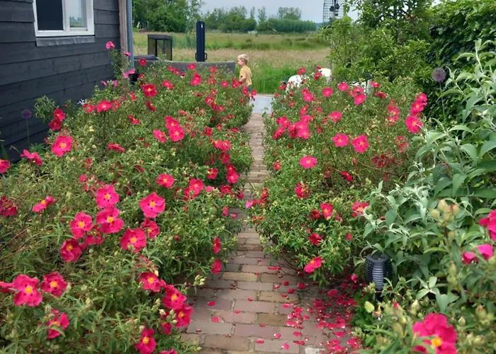 'T Jisper Huisje