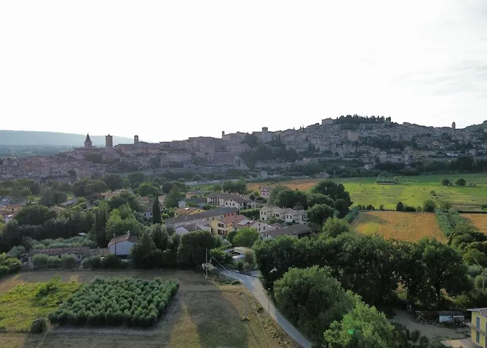 B&B L'Ulivo Incantato