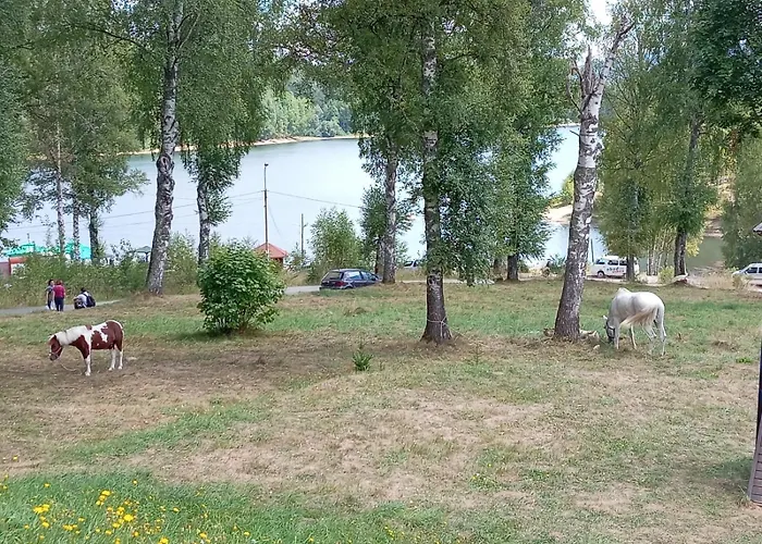 Hotel Vlasina - Vlasinsko Jezero