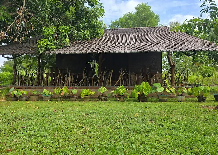 Ceylon Wilpattu Safaris & Lodging