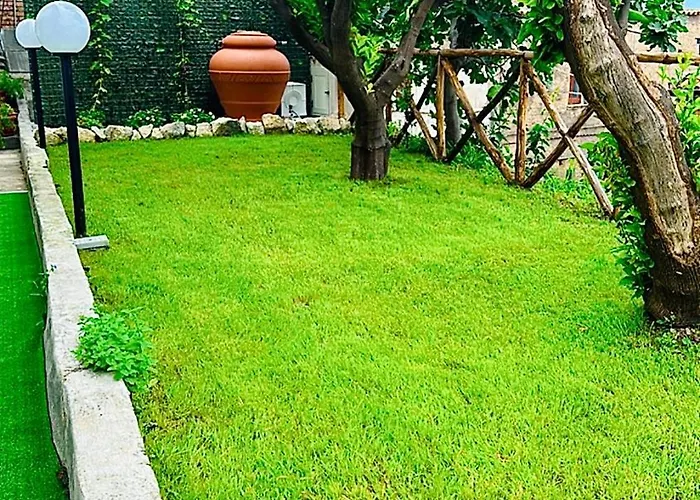 B&B Paola City