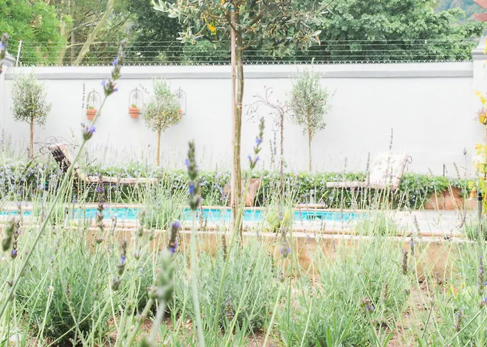 Olive Tree Boutique Hotel