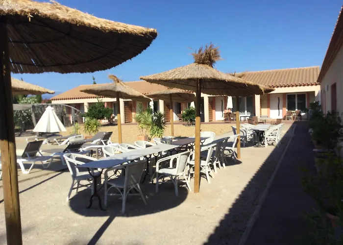 Perpignan Dans Oliveraie Tres Beau Gite 11 Pers