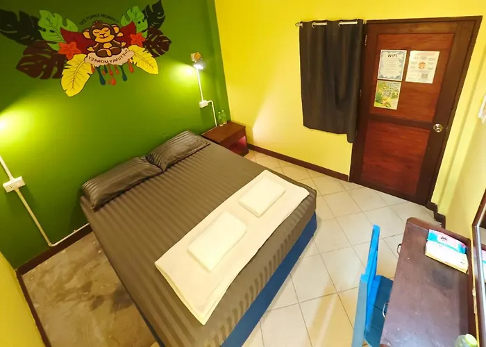 The Funky Monkey Hostel - 18 To 40 Years Old Only