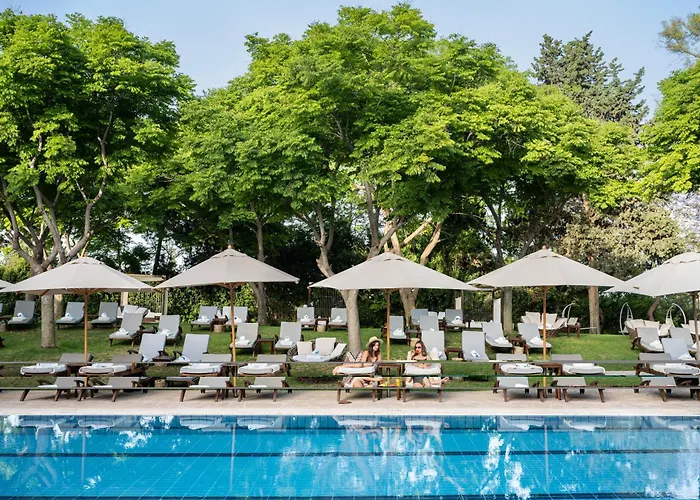 Carmel Forest By Isrotel Exclusive