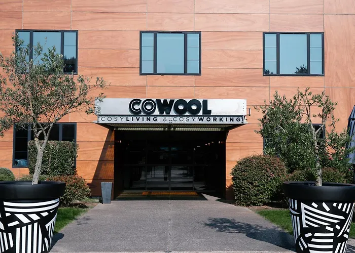 Cowool Lille Villeneuve D'Ascq - Ex Olivarius