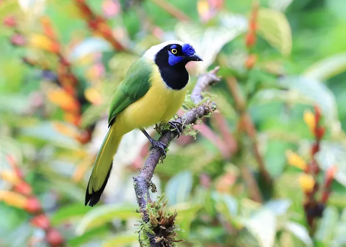 Rio Quijos Ecolodge
