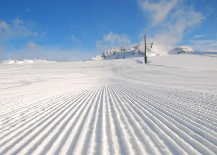 Apres Ski - Media Pension Y Pases Incluidos