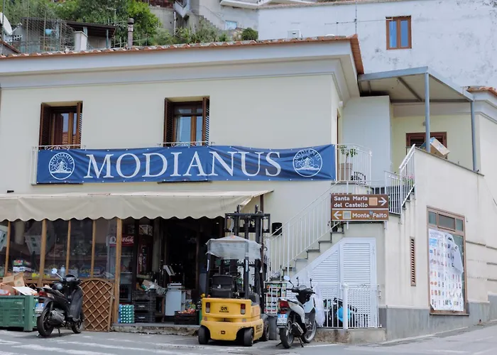 Modianus Suite