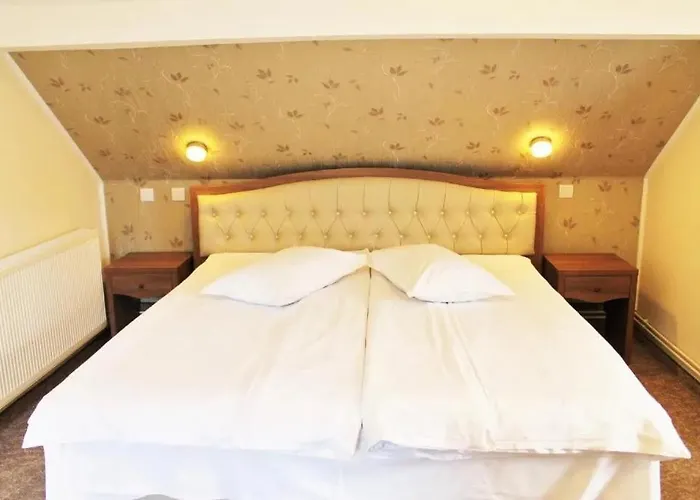 Hotel Crisalpin