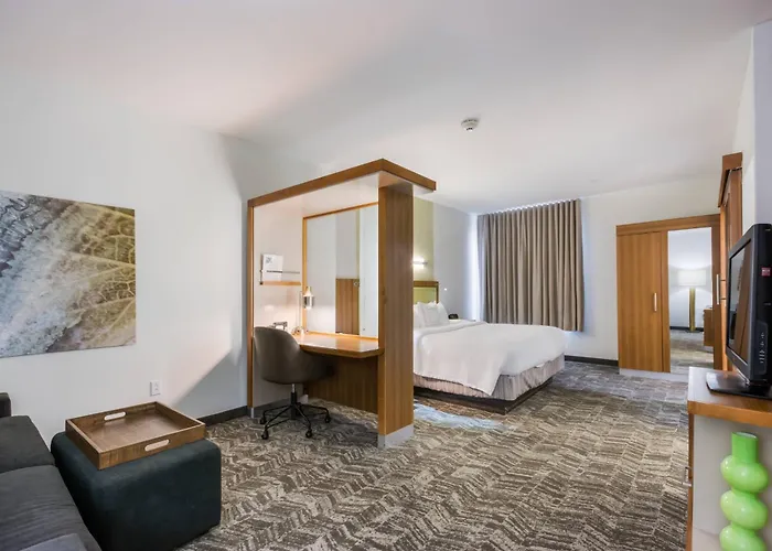 Springhill Suites By Marriott Enid