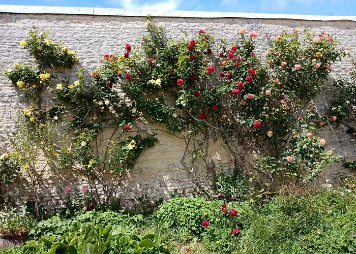 Rose Garden Bayeux