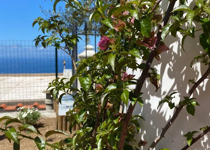La Ciammurrella b&b
