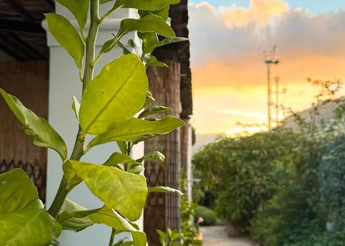 Il Cigno B&B