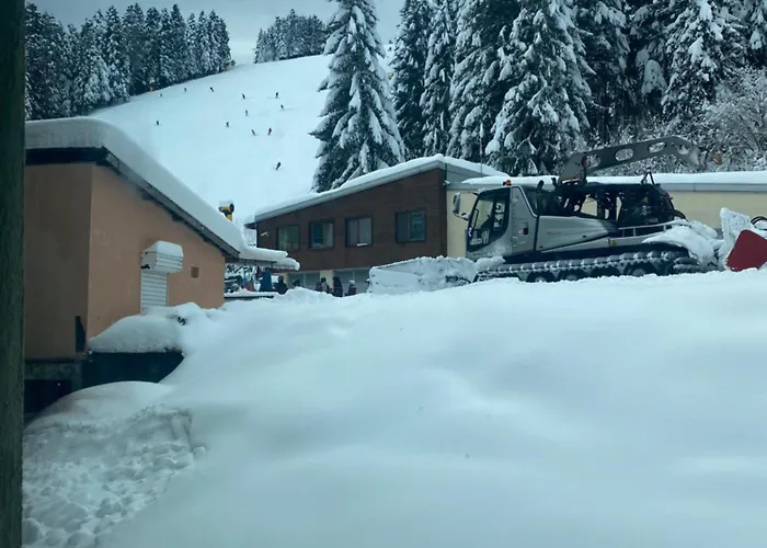 Hotel Forest Star On The Ski Slope