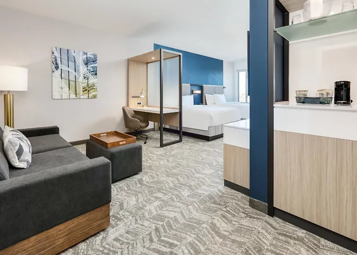 Springhill Suites By Marriott Dallas Mansfield