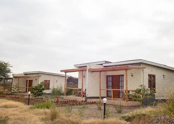 Manyara Exclusive Safari Lodge