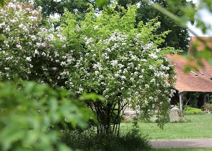 Hotel Sophienhof Achternholt Wardenburg