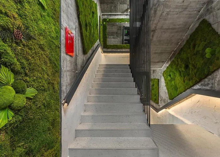 Urban Budget Hotel