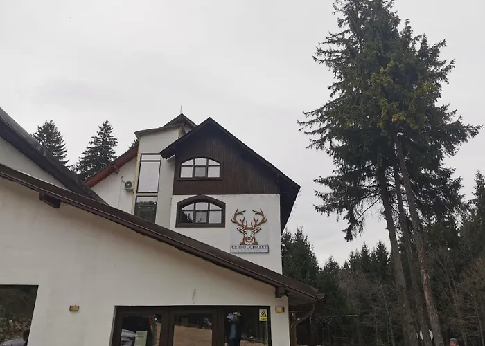 Cerbul Chalet Accommodation & Wellness
