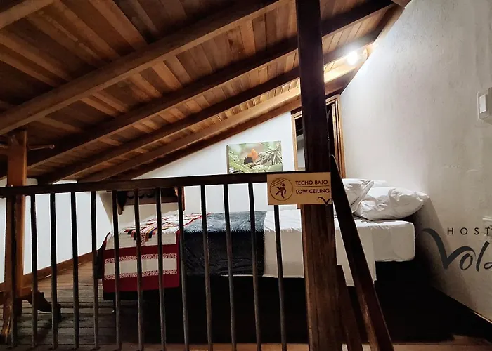 Volarte Hotel