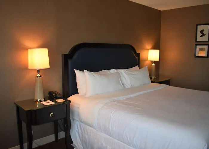 Sheraton Lisle Naperville Hotel