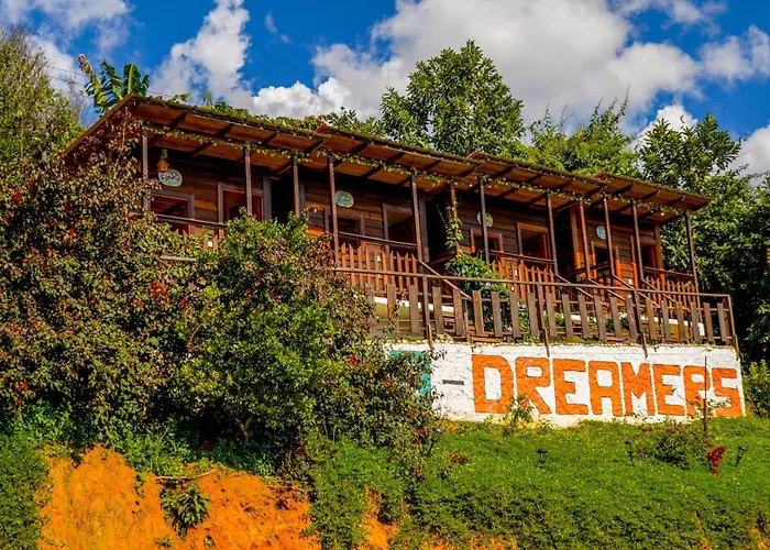 Ecodreamers Curiti