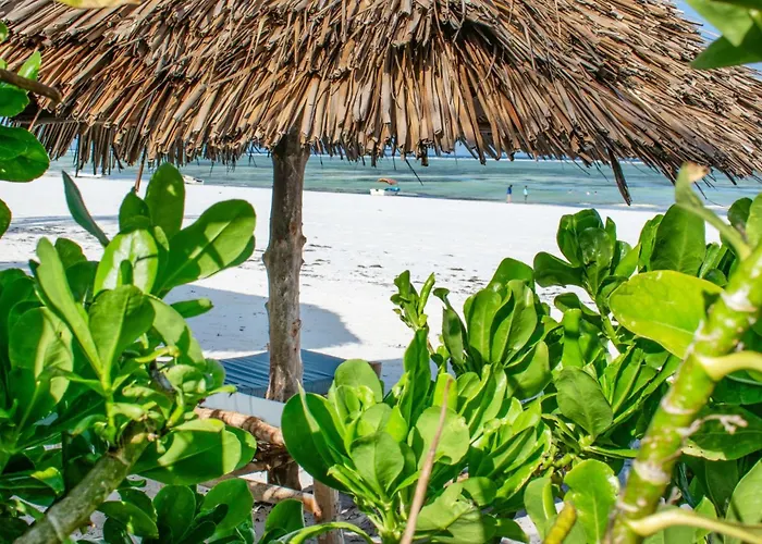 Zoi Beach House
