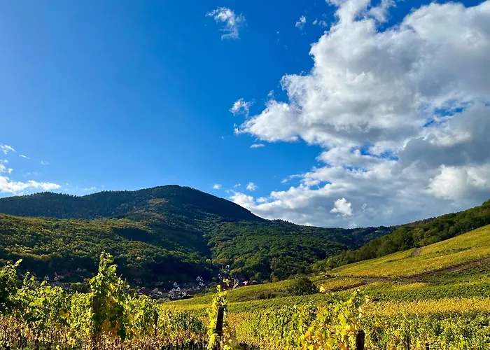 Chambre Du Vigneron - Domaine Leon Bleesz