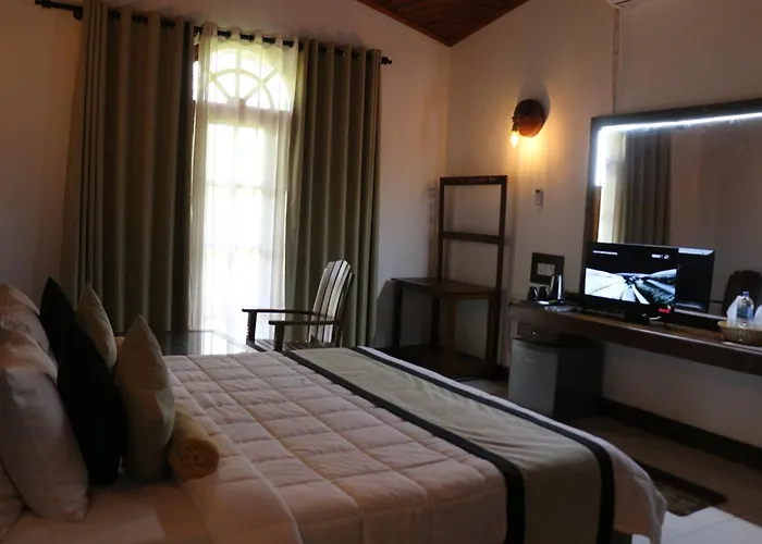 Xotic Resort