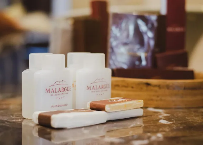 Hotel Malargue