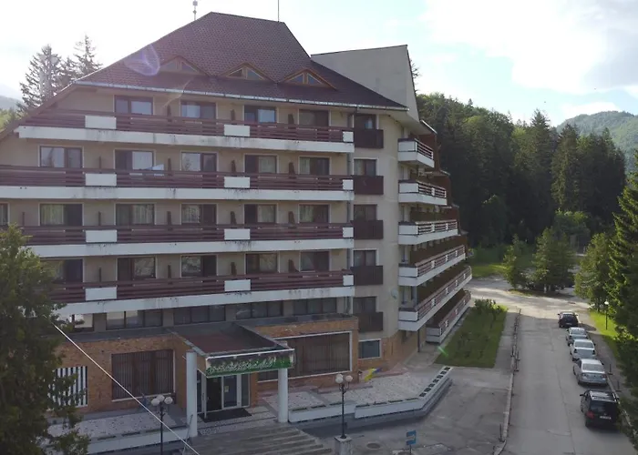 Hotel Bradul - Covasna