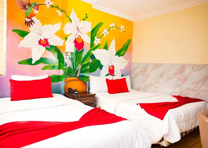 Hotel Loja Bella