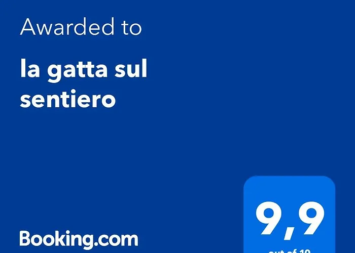 la gatta sul sentiero