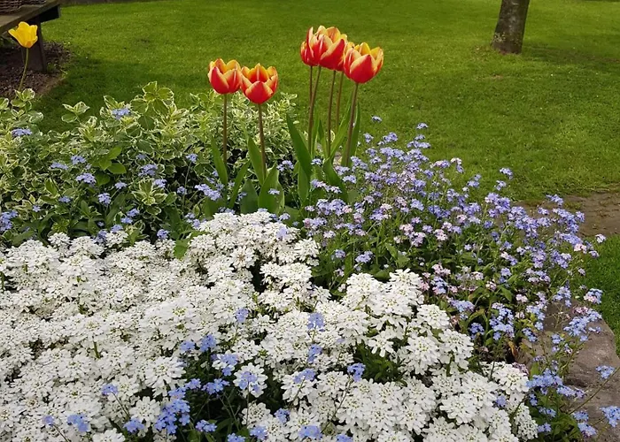 Bed&Breakfast de Ruijter