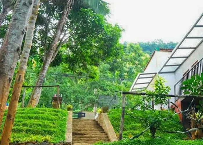 Dhighayu Ayurvedic Wellness Resort