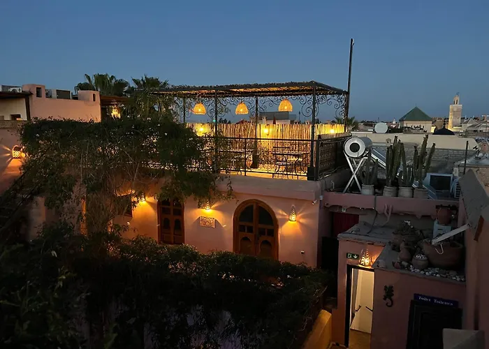 Riad Chameleon