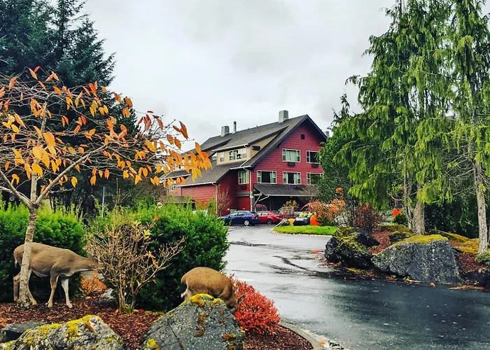 Cape Fox Lodge