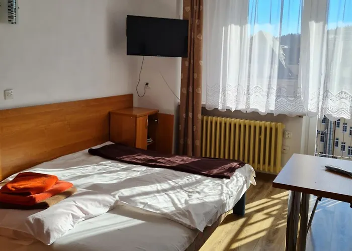Sp Zoz Sanatorium Uzdrowiskowe Mswia W Krynicy-Zdroju