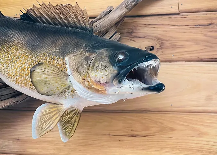 Walleye Inn