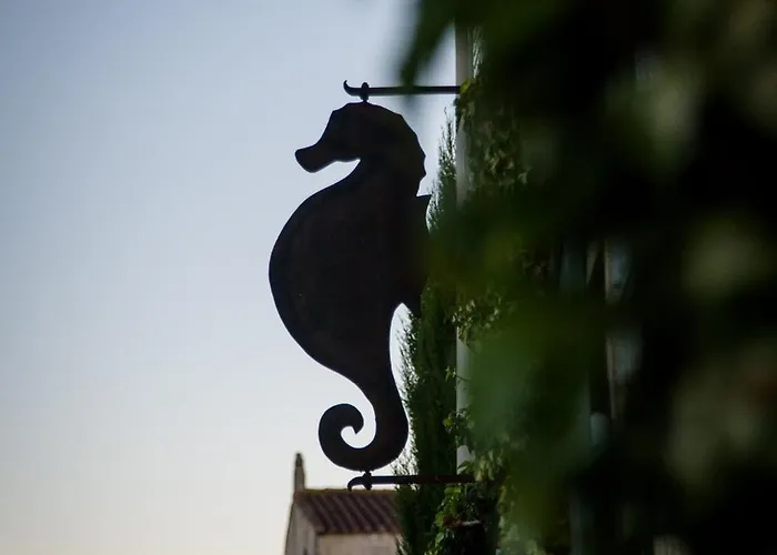 L'Hippocampe